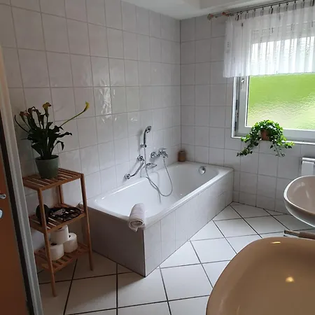 Apartamento Schwarzwaldtraum Mit Gemütlicher Grill-lounge *