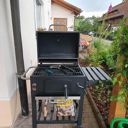 Schwarzwaldtraum Mit Gemuetlicher Grill-lounge Appartement Lenzkirch
