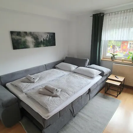 Apartamento Schwarzwaldtraum Mit Gemütlicher Grill-lounge *